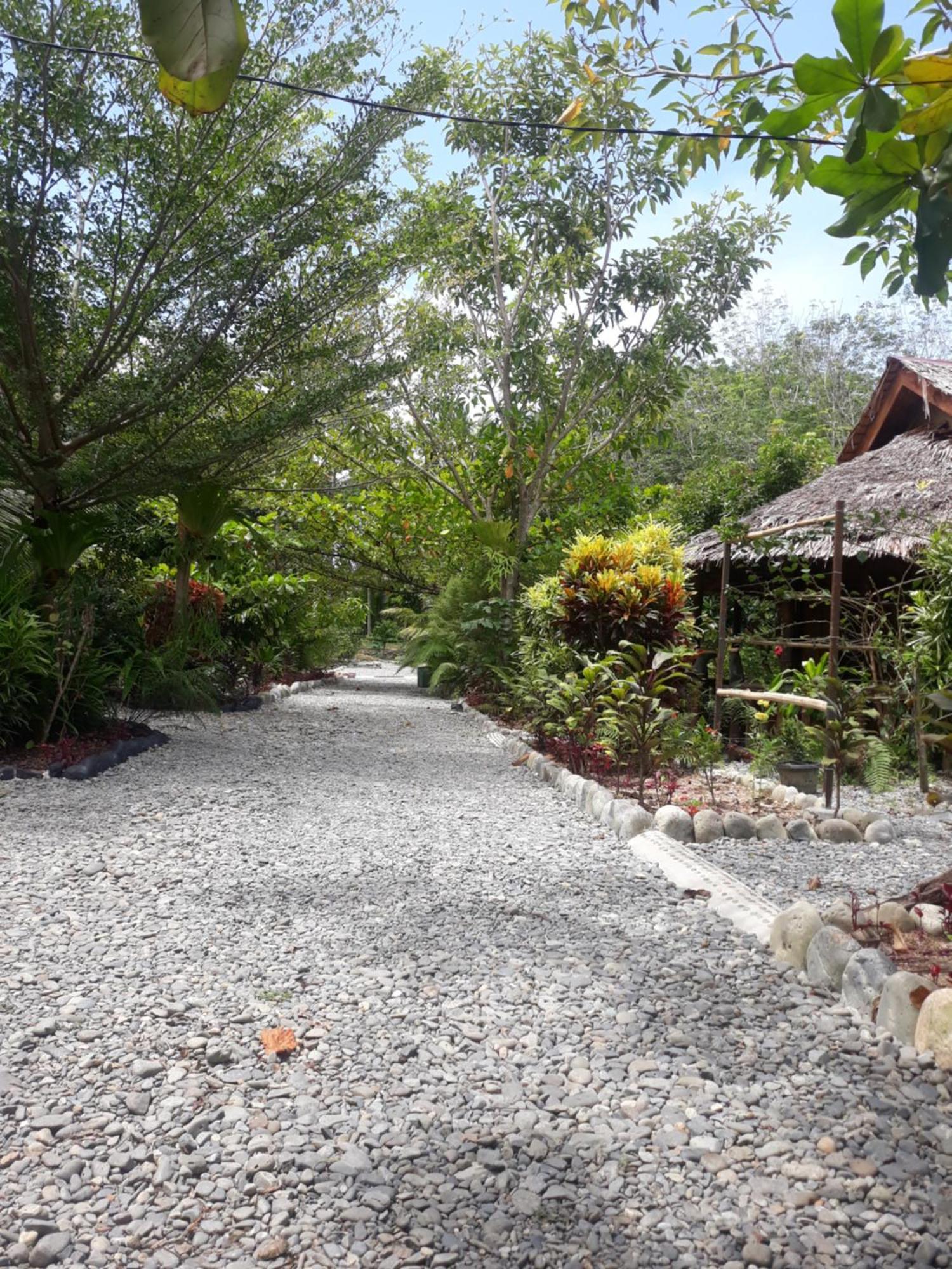 Magpie Homestay & Jungle Trekking Especially For Guest Trekking With Us Bukit Lawang Exterior foto