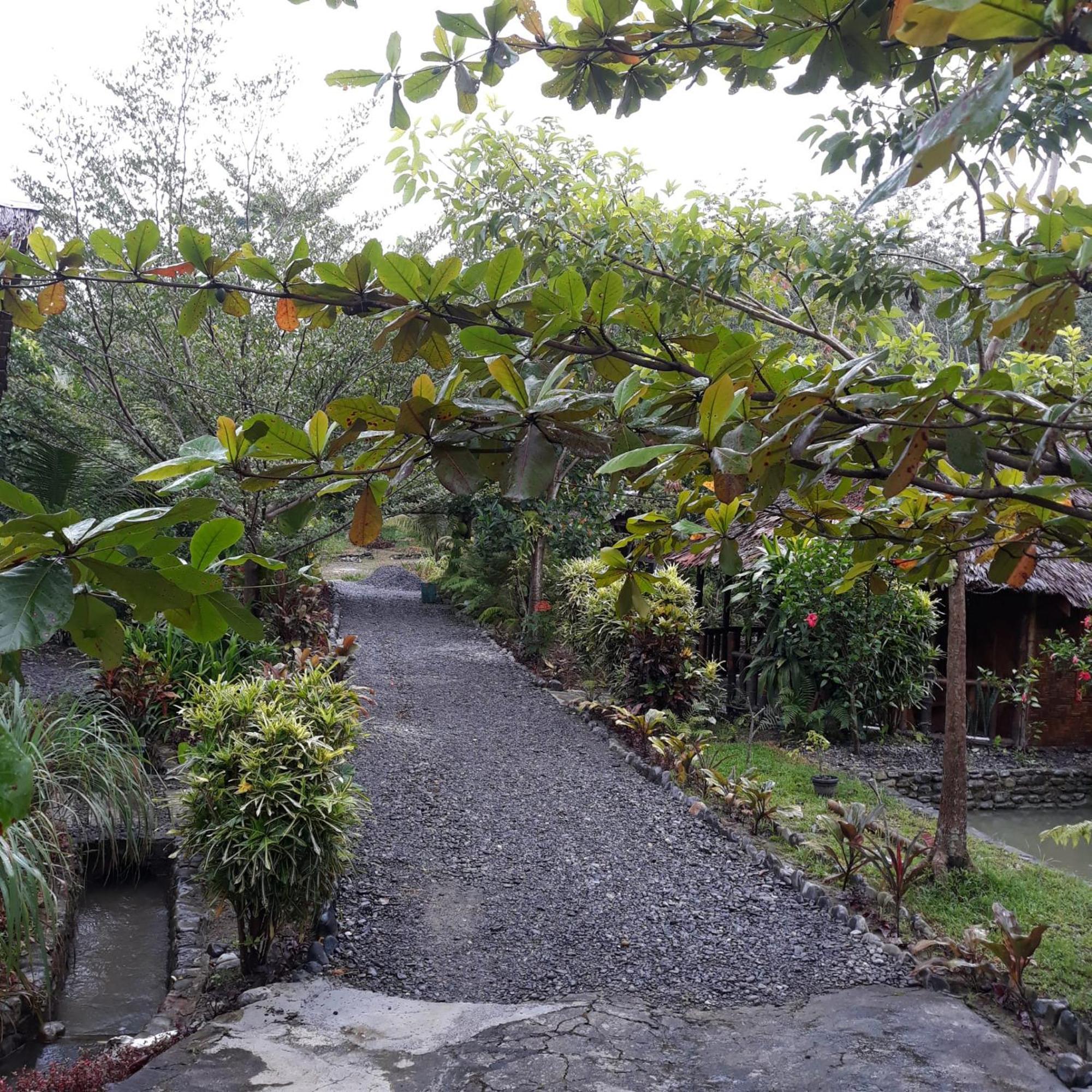 Magpie Homestay & Jungle Trekking Especially For Guest Trekking With Us Bukit Lawang Quarto foto