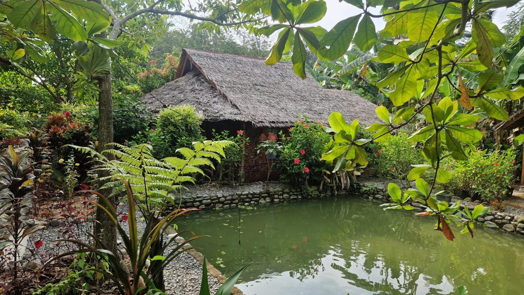 Magpie Homestay & Jungle Trekking Especially For Guest Trekking With Us Bukit Lawang Exterior foto