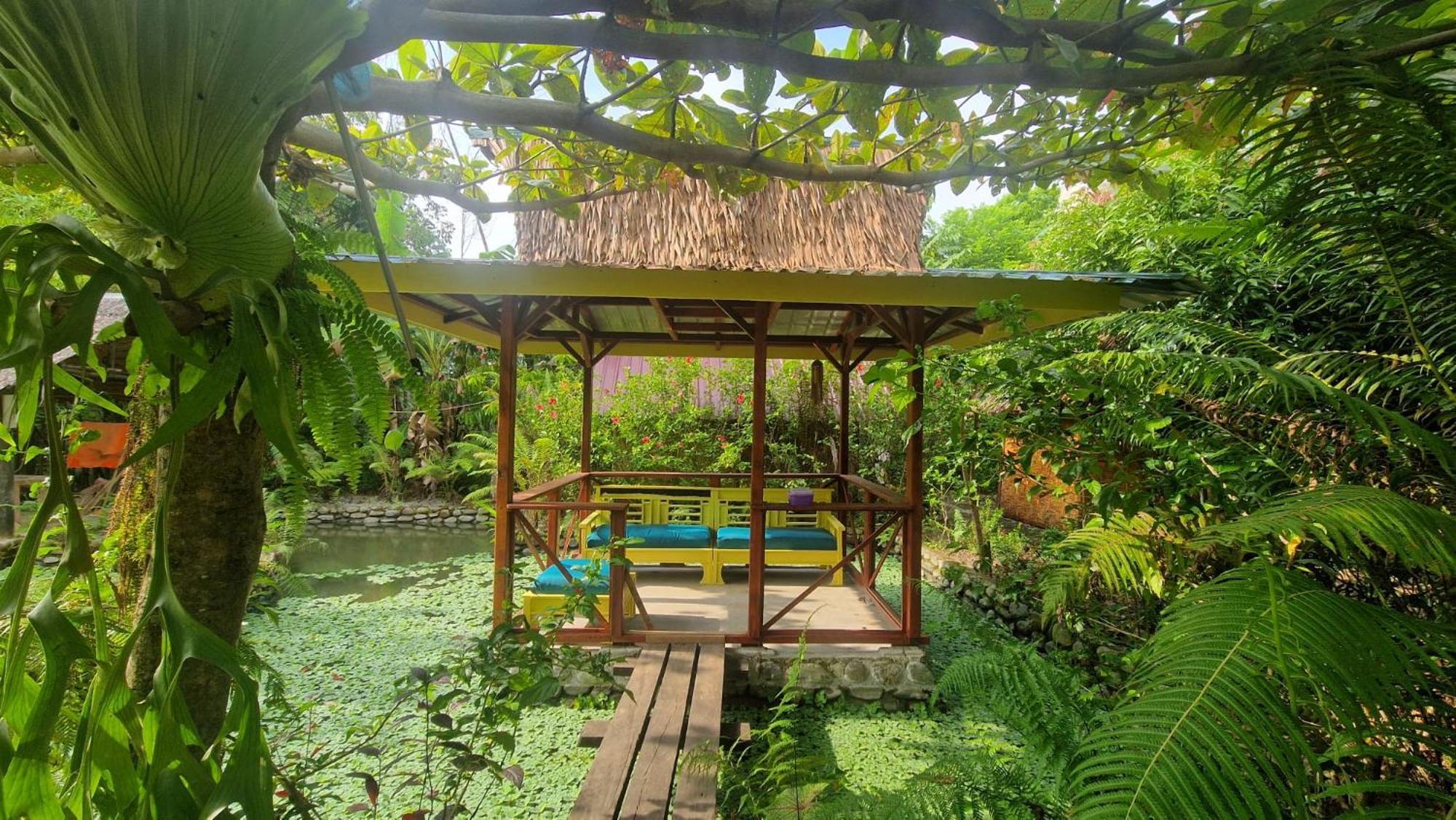 Magpie Homestay & Jungle Trekking Especially For Guest Trekking With Us Bukit Lawang Exterior foto