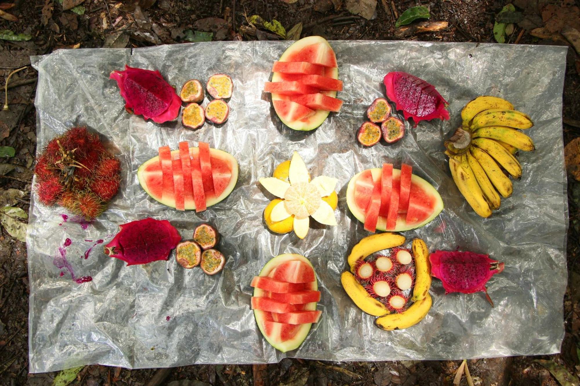Magpie Homestay & Jungle Trekking Especially For Guest Trekking With Us Bukit Lawang Exterior foto