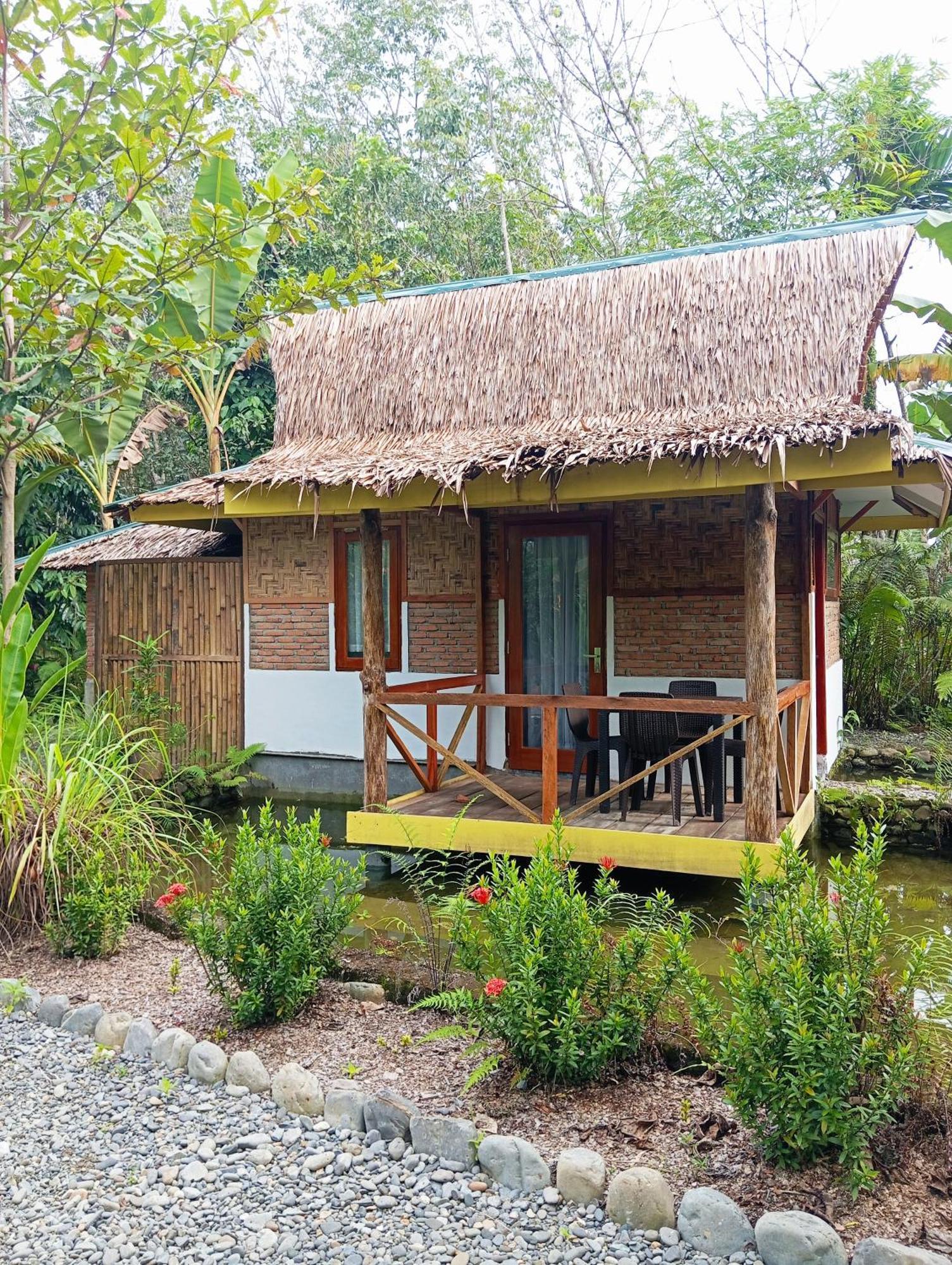 Magpie Homestay & Jungle Trekking Especially For Guest Trekking With Us Bukit Lawang Exterior foto