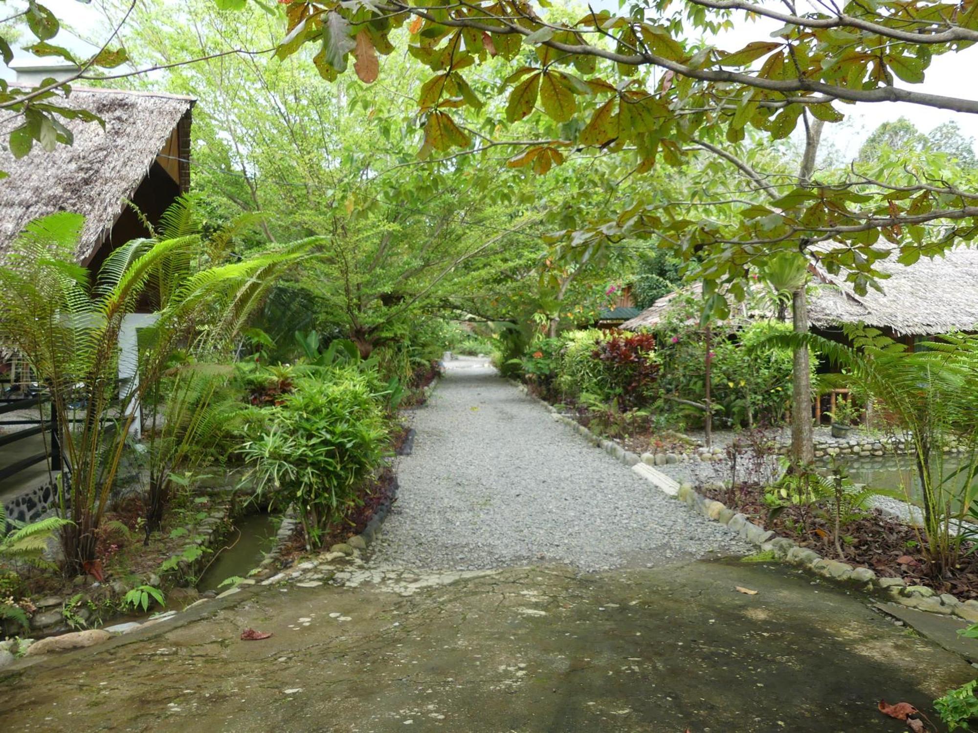 Magpie Homestay & Jungle Trekking Especially For Guest Trekking With Us Bukit Lawang Exterior foto