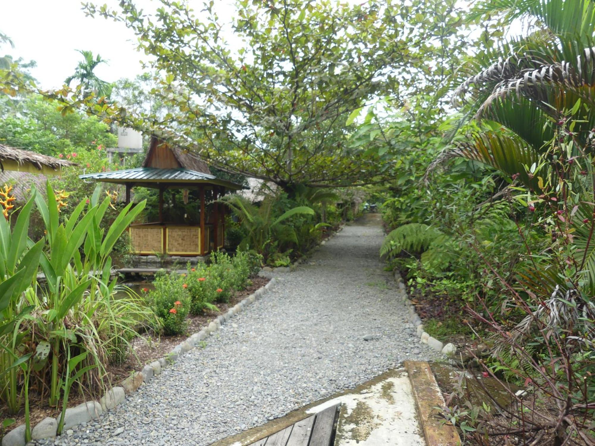 Magpie Homestay & Jungle Trekking Especially For Guest Trekking With Us Bukit Lawang Quarto foto